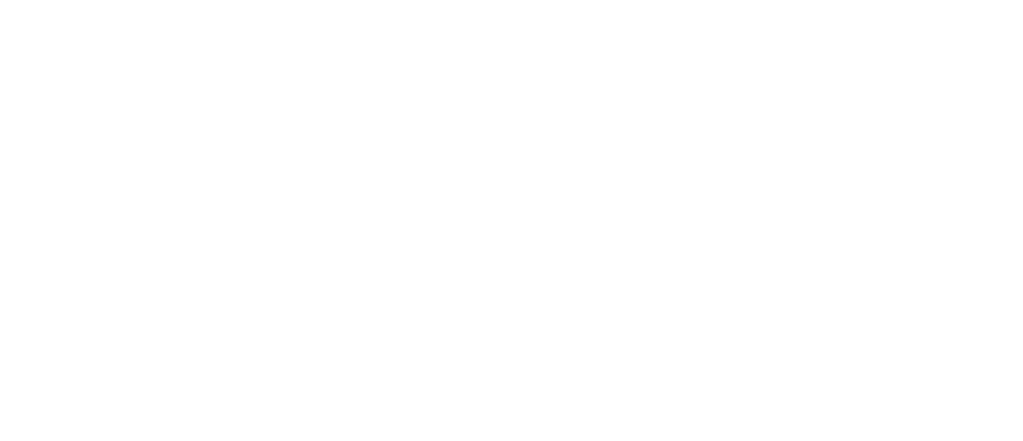 Prima_logo_blanc_sans positionnement